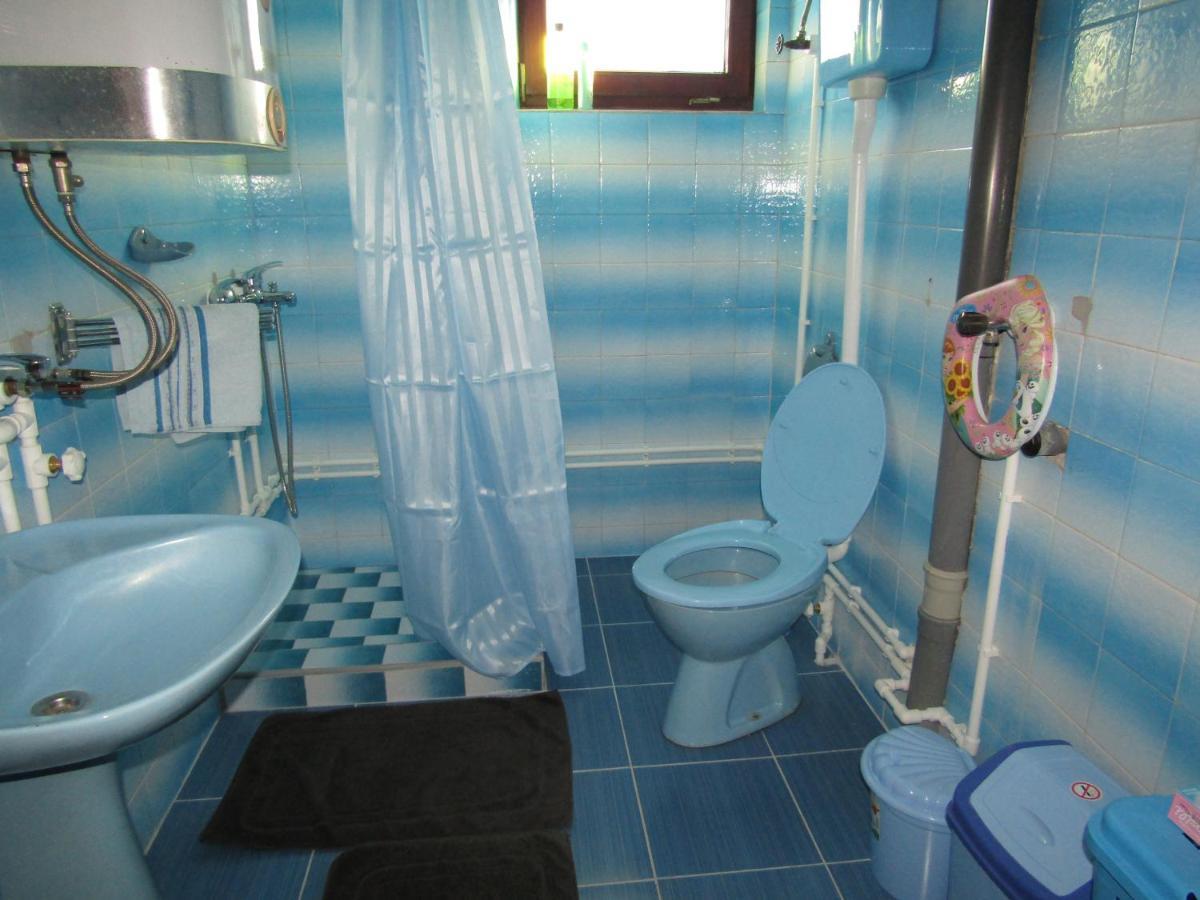 Apartman Milena Kladovo Extérieur photo